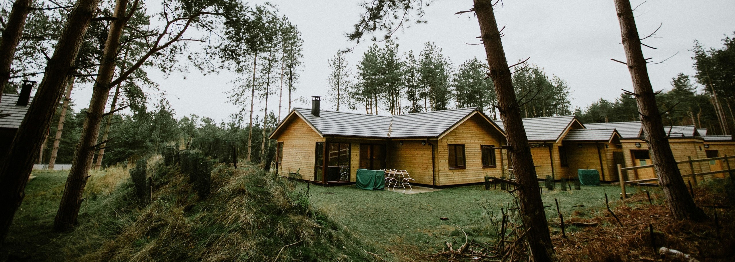 Vakantiewoning in de bossen