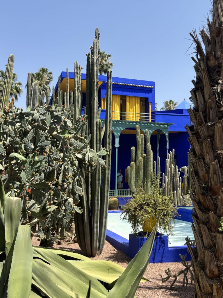 Kleurrijk Jardin Majorelle in Marrakesh